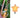 SUSPENSION AMPOULE SANS FIL SIMONA + Ampoule Étoile Selena GRATUITE