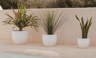 Cómo colocar macetas alrededor de la piscina