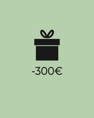 Idées cadeaux moins de 300€