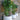 Meilleures ventes Pots