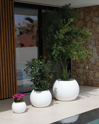 Pots sans lumière