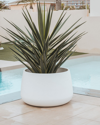 Pots sans lumière