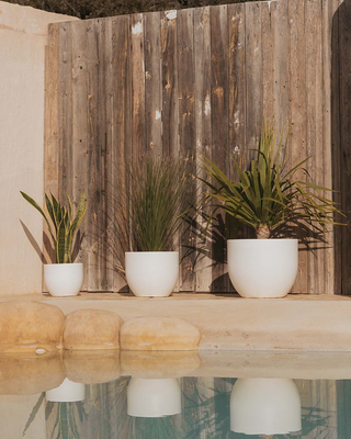 Pots
