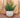POT DE FLEURS ROND BEGONIA