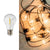 AMPOULE DE RECHANGE ALLEGRA CÂBLE