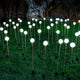 LAMPE DE JARDIN SOLAIRE À PIQUER BRUNA x1unité
