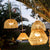 LAMPE SUSPENSION SANS FIL CALOBRA NATURE