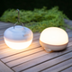 Ampoule portable rechargeable CHERRY