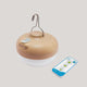 Ampoule portable rechargeable CHERRY