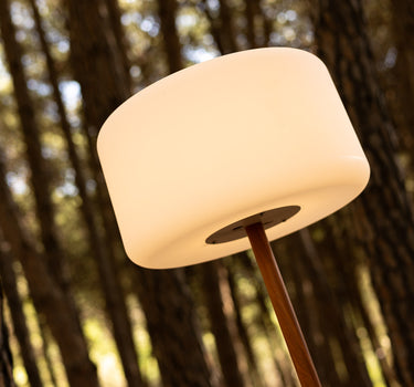 LAMPE POLYVALENTE CHLOE PLANT