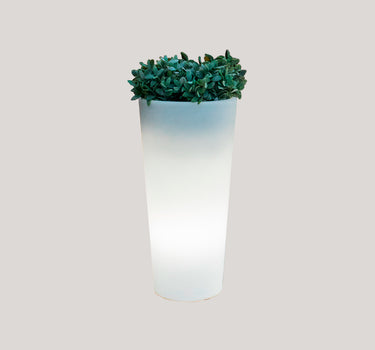 POT DE FLEURS HAUT FICUS 60 AVEC LUMIÈRE