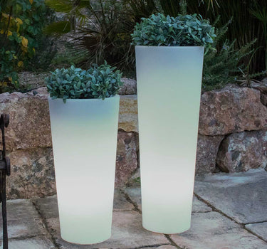 POT DE FLEURS HAUT FICUS 60 AVEC LUMIÈRE