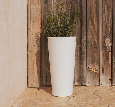 POT DE FLEURS HAUT FICUS 60