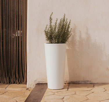 POT DE FLEURS HAUT FICUS 60