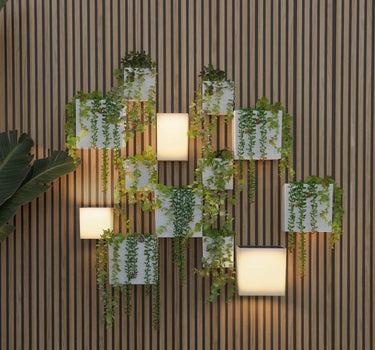 Pack Appliques Murales Solaires WALLY + Pots Muraux | Éclairage et Jardin Vertical Durable