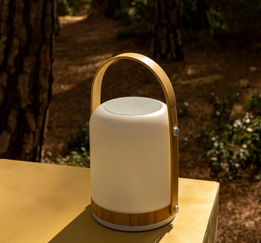 HAUT-PARLEUR PORTABLE FRED