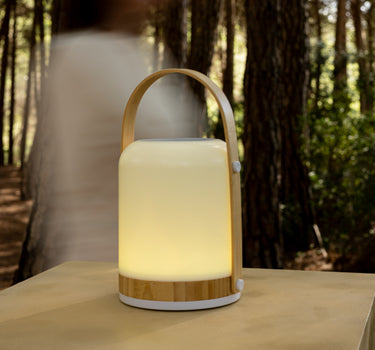 HAUT-PARLEUR PORTABLE FRED