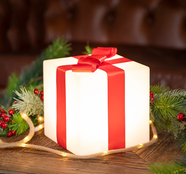 CUBE DE NOËL LUMINEUX GIFTY 20