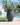 POT DE FLEURS ROND ALOE 55 - 03
