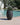 POT DE FLEURS ROND ALOE 55 - 04