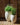 POT DE FLEURS ROND ALOE 45 - 18