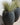 POT DE FLEURS ROND ALOE 55 - 26
