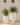 POT DE FLEURS ROND ALOE 45 - 34