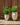 POT DE FLEURS ROND ALOE 55 - 38