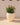 POT DE FLEURS ROND ARECA 60 - 06