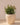 POT DE FLEURS ROND ARECA 80 - 08