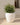POT DE FLEURS ROND ARECA 60 - 11
