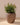 POT DE FLEURS ROND ARECA 80 - 18