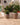 POT DE FLEURS ROND ARECA 60 - 21
