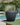 POT DE FLEURS ROND ARECA 80 - 25