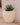 POT DE FLEURS ROND ARECA 80 - 29