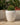POT DE FLEURS ROND ARECA 60 - 34