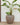 POT DE FLEURS ROND ARECA 60 - 39
