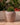 POT DE FLEURS ROND ARECA 80 - 40