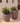 POT DE FLEURS ROND ARECA 60 - 42