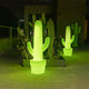 LAMPE KAKTUS VERT CITRON
