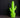 LAMPE KAKTUS VERT CITRON