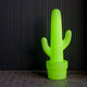 LAMPE KAKTUS VERT CITRON
