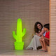 LAMPE KAKTUS VERT CITRON