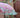 Parasol KOMODO ø180 cm ROSE PÂLE