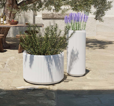 POT DE FLEURS ROND MARANTA 60 x 40