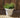 POT DE FLEURS ROSA 55
