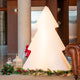 SAPIN DE NÖEL PINUS 160 VERT AVEC LUMIÈRE