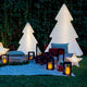 SAPIN DE NÖEL PINUS 160 VERT AVEC LUMIÈRE