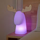 LAMPE RUDY