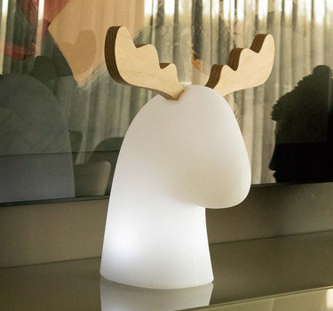 LAMPE RUDY